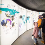 V Krkonoších otevřela Medvědí stezka, nabízí pohled do medvědího výběhu