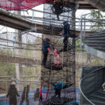 V Krkonoších otevřela Medvědí stezka, nabízí pohled do medvědího výběhu