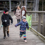 V Krkonoších otevřela Medvědí stezka, nabízí pohled do medvědího výběhu