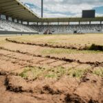 OBRAZEM: Na Malšáku začala velká proměna. Hradec bude mít elitní hybridní trávník